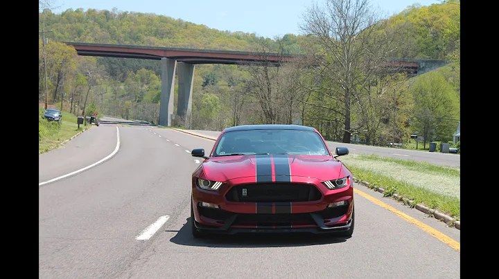 Brogan's Shelby GT350 Is Amazing: Unknown Brain - ...