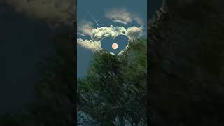 Serene Bliss: Animated Video Unveiling Beauty to Soothe the Soul