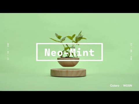Coloro x WGSN key colors 2020: Neo-Mint