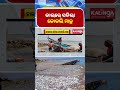 ଜାଲରେ ପଡିଲା କୋକଲି ମାଛ || Kalinga TV