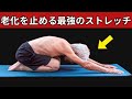 【知らないと損】科学的に証明された老化を止める最も効果的なストレッチ5選