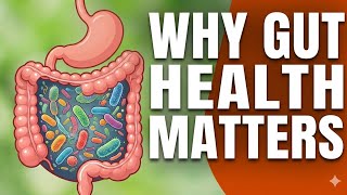 How Your Gut Controls Digestion, Immunity & Mood | Science Explained