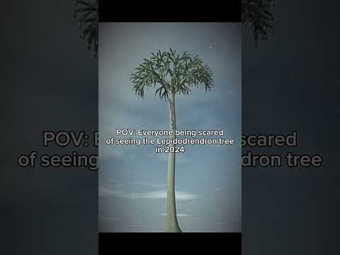 Pretty scary myth #scary #dinosaur #viral #lepidodendron #shorts #fyp #videos