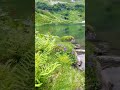 Озеро МЗЫ .