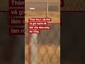 ĐÀN NGỰA THÁO CHẠY KHỎI ĐÁM CHÁY RỪNG Ở HY LẠP
