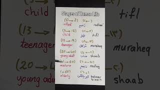 Stages of Human Life #humanlife #stagesoflife #arabiclanguage