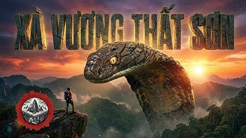 Rắn Hổ Mây Khổng Lồ: "Chúa Tể" Có Thật Của Rừng Thất Sơn