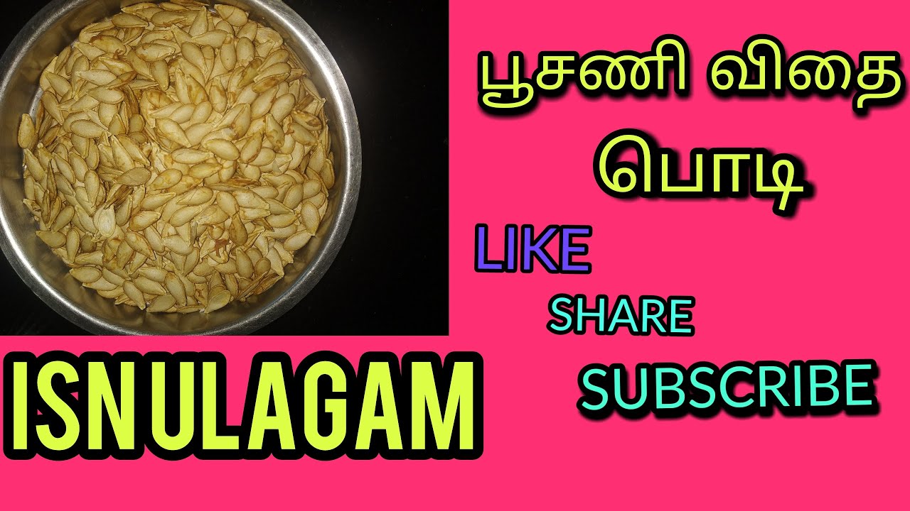 Pumpkin seed powder in tamil/பூசணி விதை பொடி YouTube