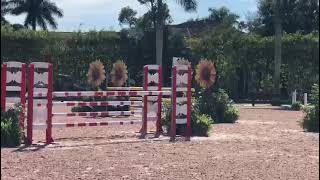 Kickstart II and Beezie
