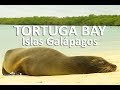 Tortuga Bay - Galápagos # 7 | La Ruta de Enrique