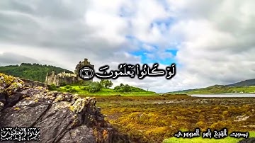 ولئن سألتهم من خلق السموات والارض وسخر الشمس والقمر - أواخر سورة العنكبوت