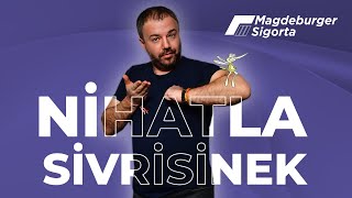 Magdeburger Sigorta Kafa Radyo Nihat'la Sivrisinek Programında!