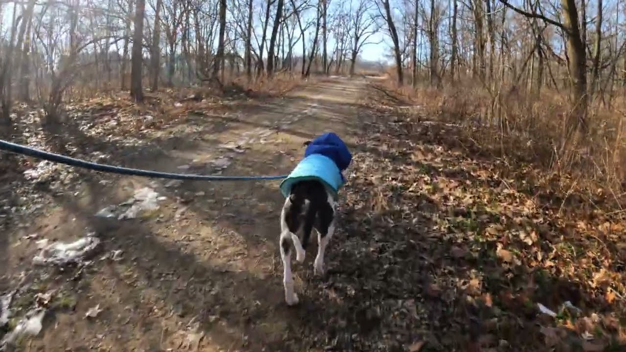 Atlas's First Time At Chain O Lakes State Park!