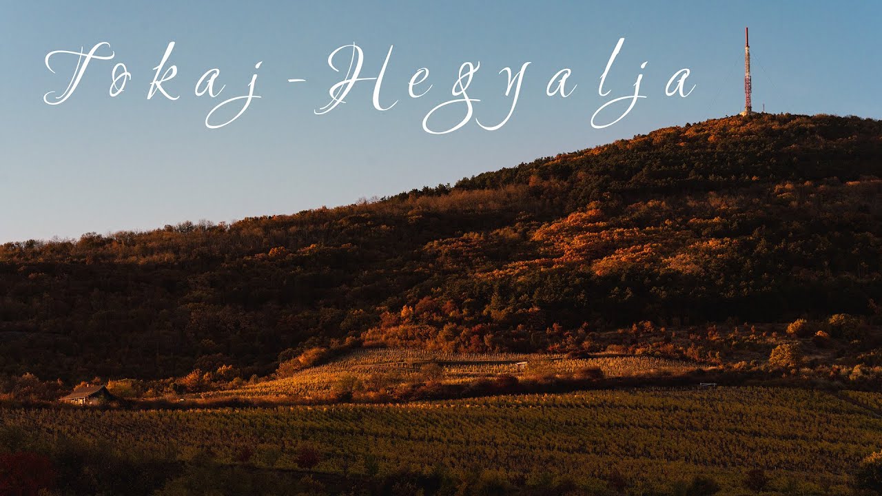 Tokaj-Hegyalja, ahol élmény minden pillanat - 4K videó