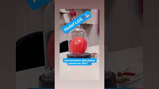 Başarmak Zordur. Emek Gerektirir, Yoksa Kıymetli Olmazdı