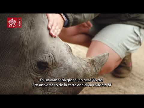 El  Papa  Francisco  invita  a  la  Iglesia  a  celebrar  la  Semana  Laudato  Si’