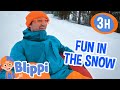 Play in the Snow with Blippi ❄️ | Blippi | Educational Kids Videos | Learning | After School Club