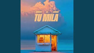 Download Lagu Tu Mila MP3