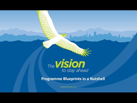 What is the MSP Programme Blueprint?