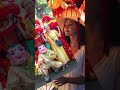 Tet Festival Fever