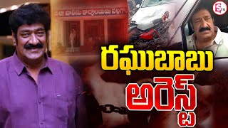 సినీ నటుడు రఘుబాబు అరెస్ట్  || Actor Raghu Babu arrest Latest | @SumanTVPalakurthy