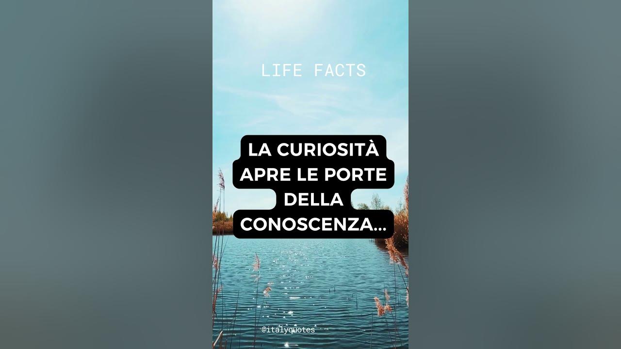 Telefono Che Si Apre A Libro La curiosità apre le porte della conoscenza.. - YouTube
