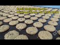 Cookie production line cookiemachine