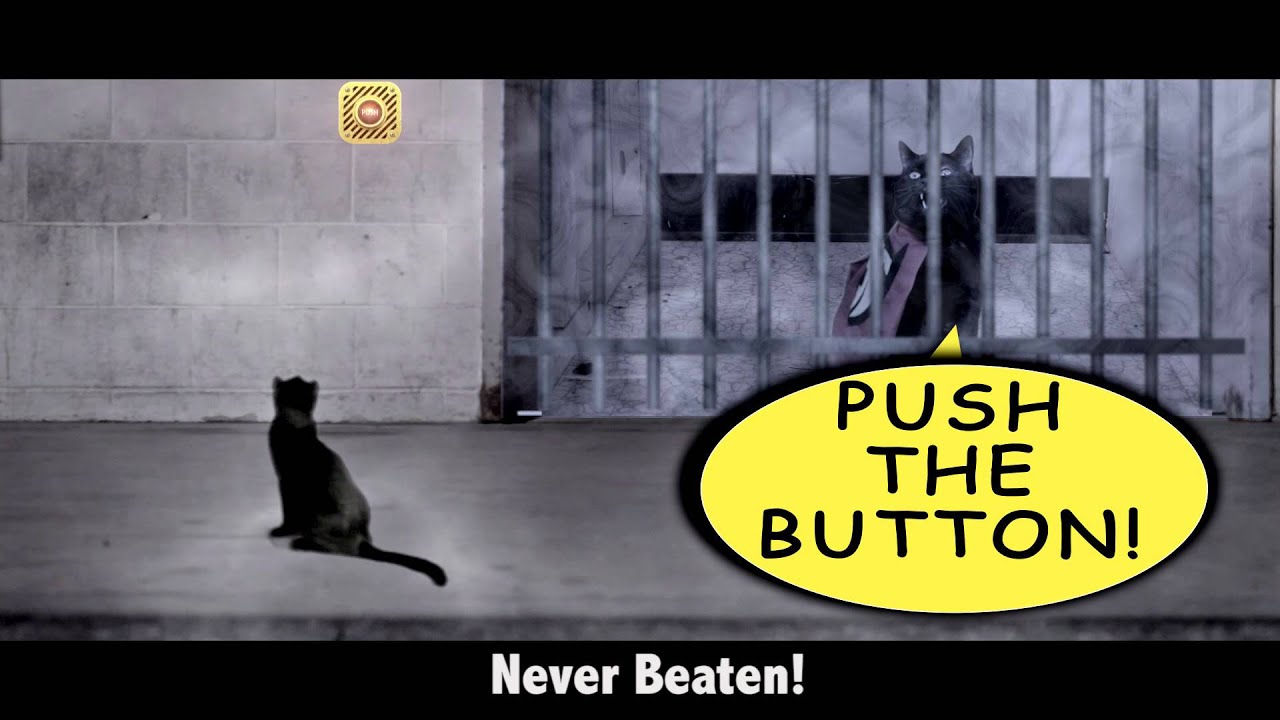 Super Hero Cat in You Trailer