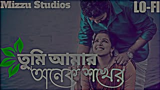 তুমি আমার অনেক শখের ।Tumi Amar Onek Shokher। Slowed+Reverb & Lo-fi remix। Piran Khan। Mizzu Studios