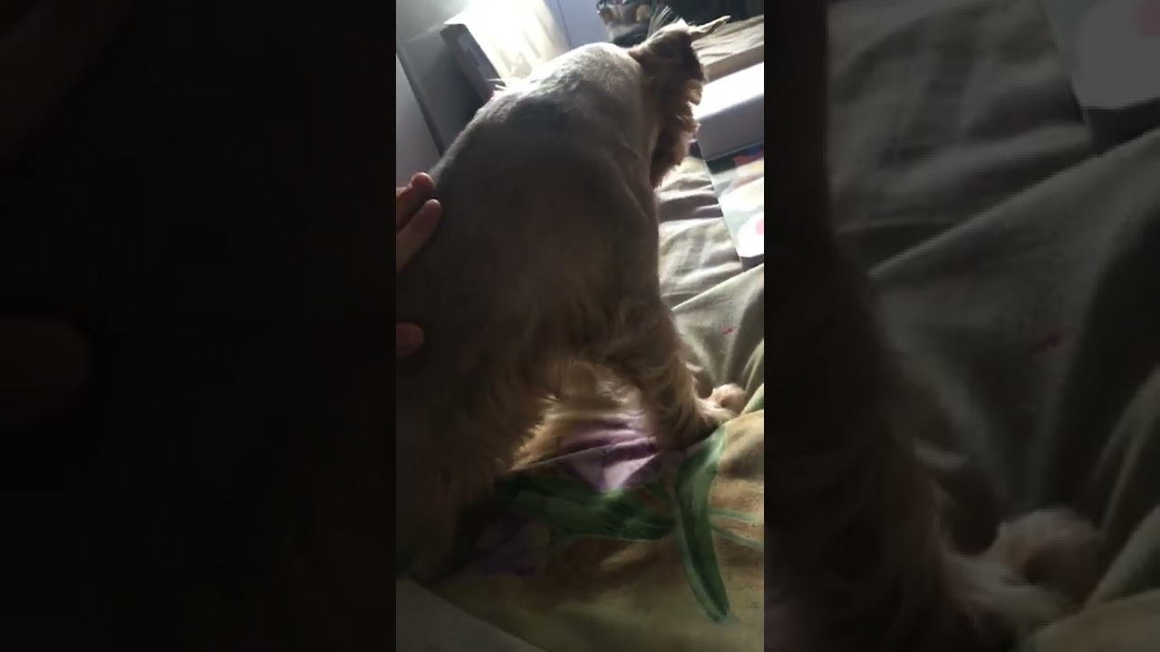 28 февраля 2022 г.