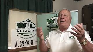 Controlling Annual Weeds in Alfalfa