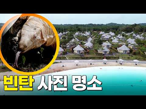 [동남아 여행 시리즈] 인도네시아 빈탄 여행 [걸어서세계속으로] KBS 250201 방송