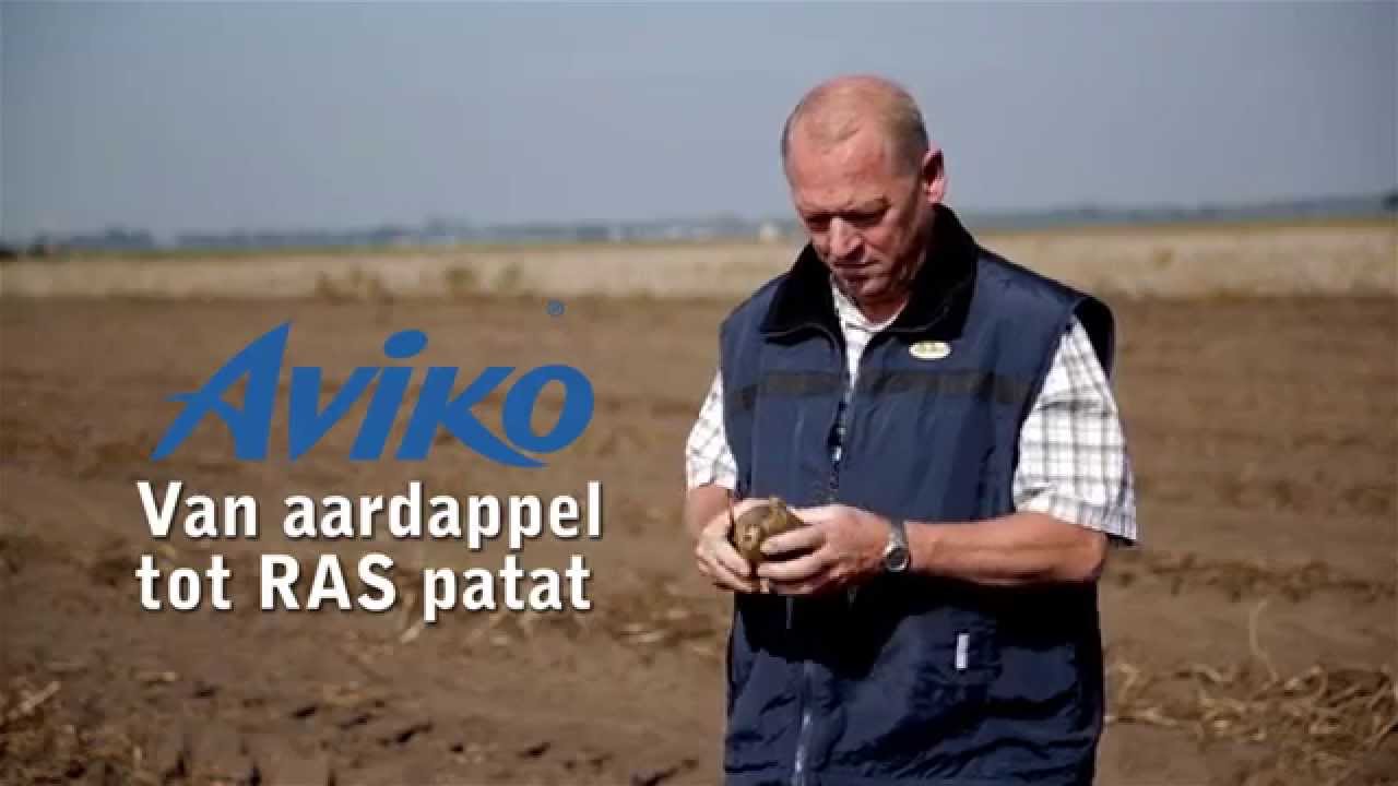 Aviko van aardappel tot ras patat YouTube Aviko van aardappel tot ras patat YouTube