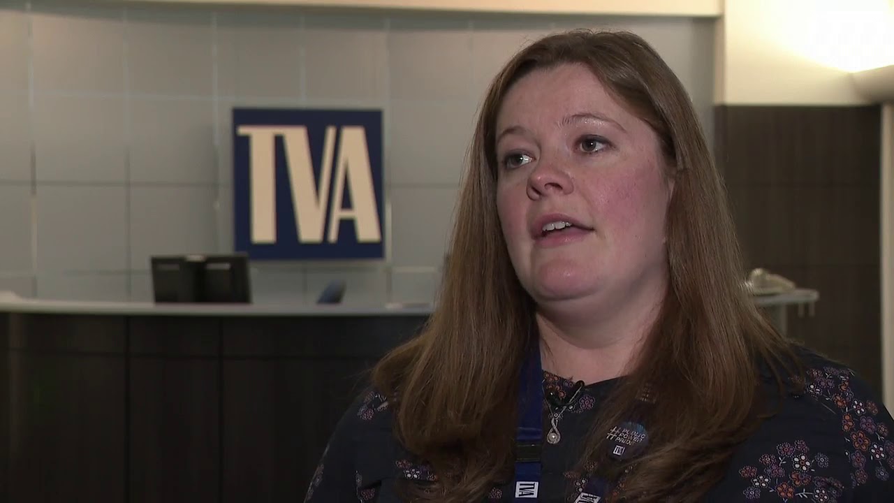 TVA sues local property owners for temporary access to land for major power line project