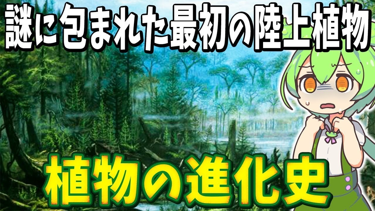 生物の謎7選！植物の進化史｜謎に包まれた最初の陸上植物【総集編】