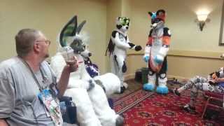 Califur X - Fursuit Survival