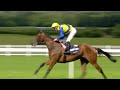 The King George VI and Queen Elizabeth QIPCO Stakes | Ascot | 27th July 2024