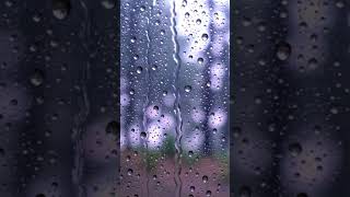 Gentle rain falling on a windowpane overlooking a misty forest #1
