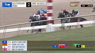 Vidéo de la course PMU MAIDEN CLAIMING