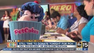 Raised for ABC15 Phoenix Children's Hospital telethon