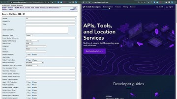 Sending a spatial query to an ArcGIS feature service