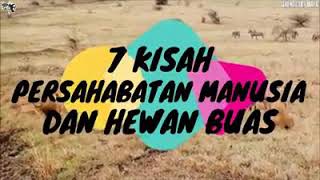 7 Kisah Persahabatan Manusia Dan Hewan Buas