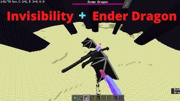 Ender Dragon + Invisibility Potion = ???????