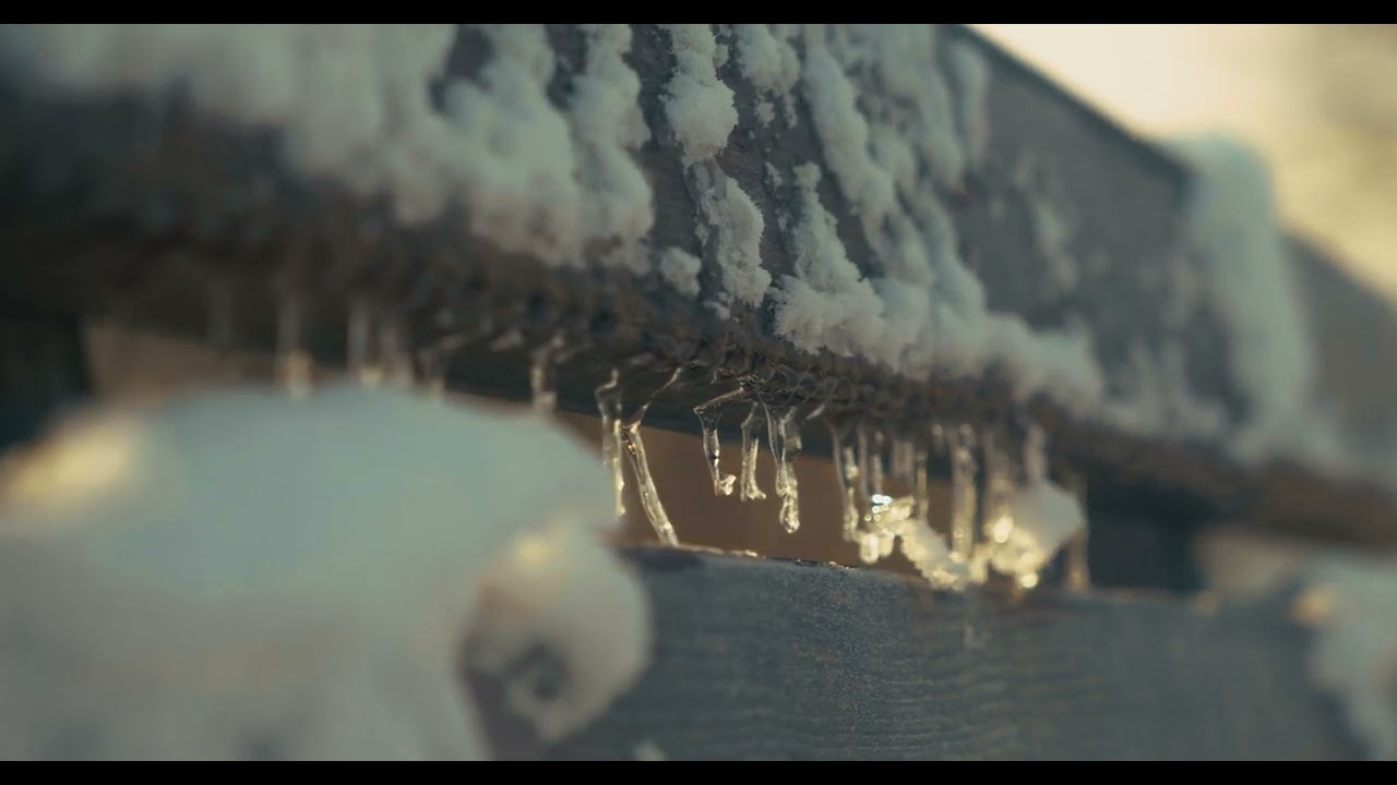 Winter Forest  |  4K Nature Film | Lumix S5 | Aufenau