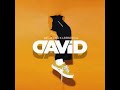 Mr Jazziq & Leerosoul - David (Official audio)