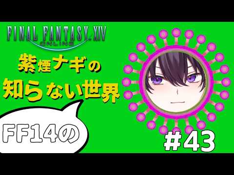【#ff14 】悪魔の詐欺師、漆黒編の沼にハマる（43日目）【#新人vtuber 】の配信サムネイル