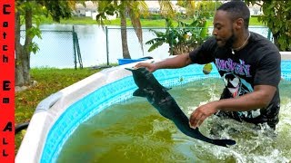 NOODLING for CATFISH in POOL!
