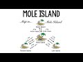 Understanding Mole Island and Conversions