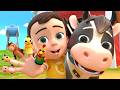 Finger Family Animals Song (Farm Version)+More Newborn Educational Nursery Rhymes &amp; Kids Songs