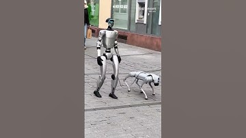 机器人遛机器狗,人类快要被接管了｡  ​​​ #搞笑 #robot